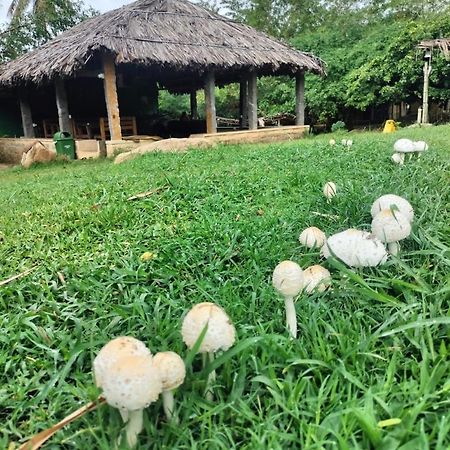 Hidden Place In Hampi Hotel Ngoại thất bức ảnh